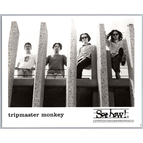 Tripmaster monkey alternative - tripmaster,