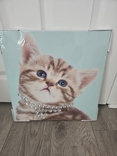 Next Wall Art, Cat/ Kitten