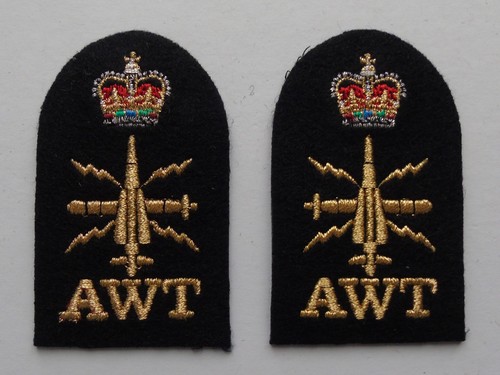 Chief petty officer - chief,