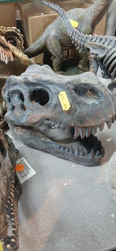 Rex dinosaur skull resin - dinosaur,