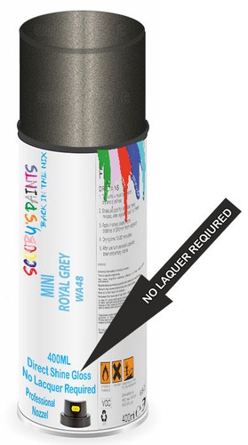 Aerosol spray paint - for, mini