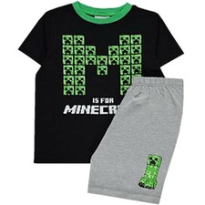 Boys Kids Children Minecraft