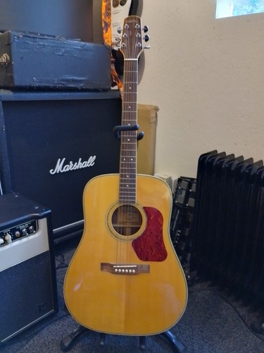 Walden d610 acoustic guitar - d610,
