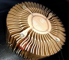 Gridseed chip scrypt asic - gridseed, 5-chip
