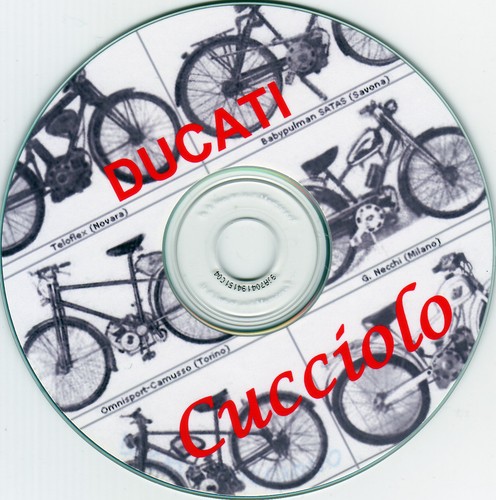 Ducati puppy maintenance - ducati,