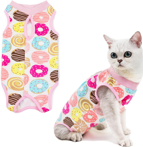 Cat professional recovery - professional,