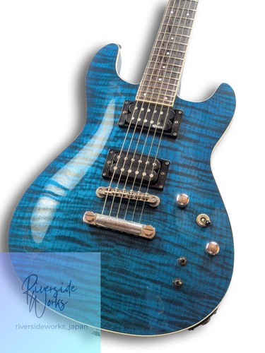 Fernandes apg 55s blue - fernandes,