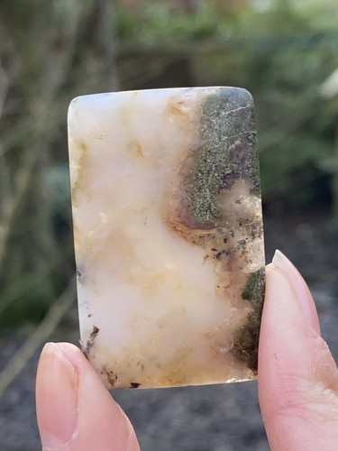 Rare green moss - rare,
