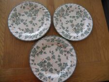 3 large country vine dinner plates