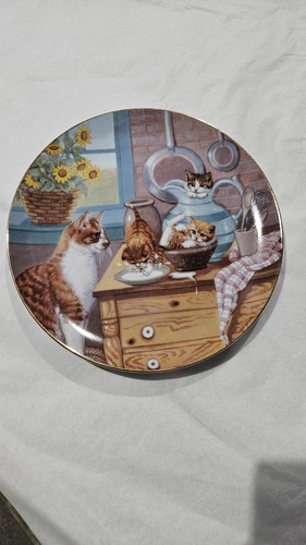 Country kitties collectors - kitties,