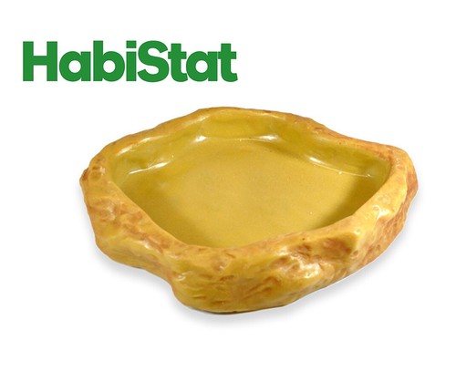 Habistat sandstone reptile - habistat,