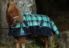 400g COMBO TURNOUT RUGS MINI/SHETLAND/ PONY GREEN/BLUE CHECK 3'0"-4'6"