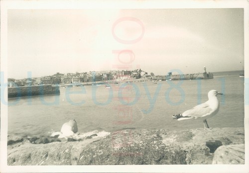 1954 original photo - original, ives