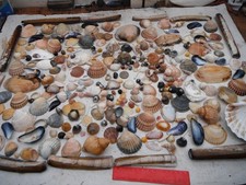 job lot of 350+  beautiful