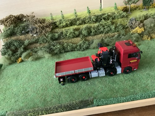 Wsi man tgx palfinger - tgx,