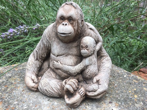 Orangutan and baby - and,