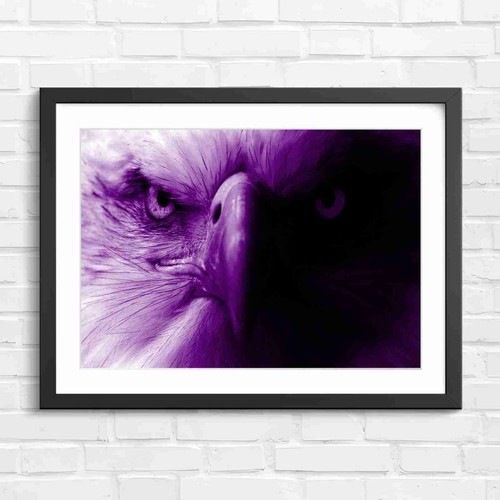 Intense bald eagle portrait - intense,
