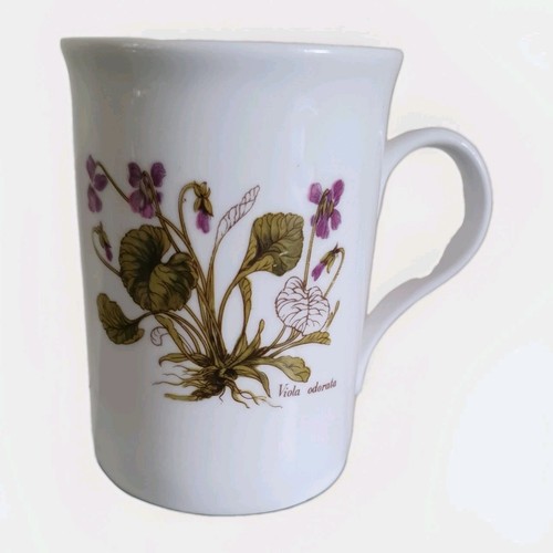Crown trent fine bone - crown,