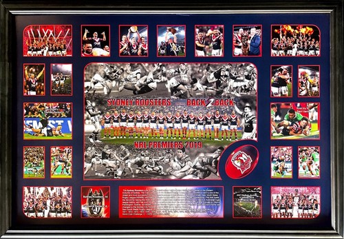 New sydney roosters - back, 2
