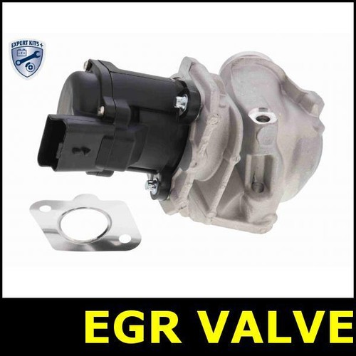 Egr valve for ford focus - for,