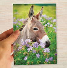 Donkey Birthday Card suit Wife