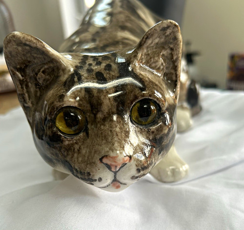 Winstanley tabby cat ready - winstanley,