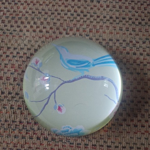 Matthew williamson butterfly - matthew,