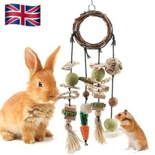 Rabbit Treats Rabbits Cage Hanging Chew Toys Guinea Pig Chinchilla Bunny Toys UK