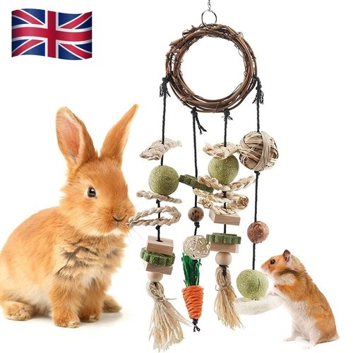 Rabbit treats rabbits cage - rabbit,