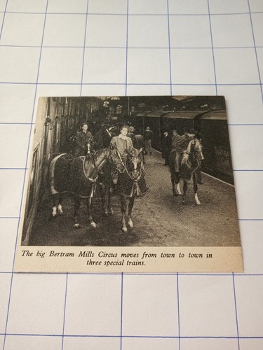 The big bertram - the,