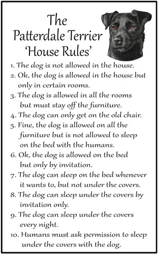 Patterdale dog gift house - gift,