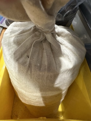 1lb lincoln wheat - of, pennies