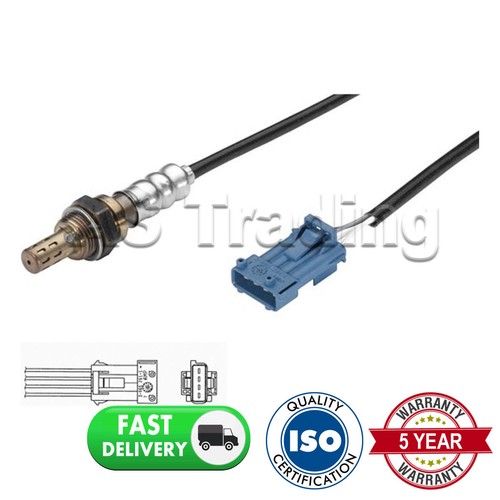 Rear wire oxygen - rear, 4