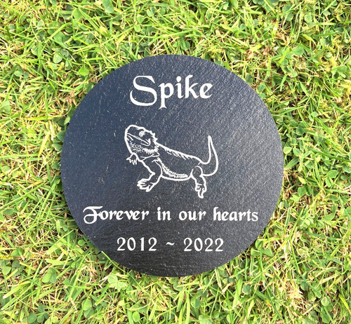 Personalised bearded dragon - personalised,