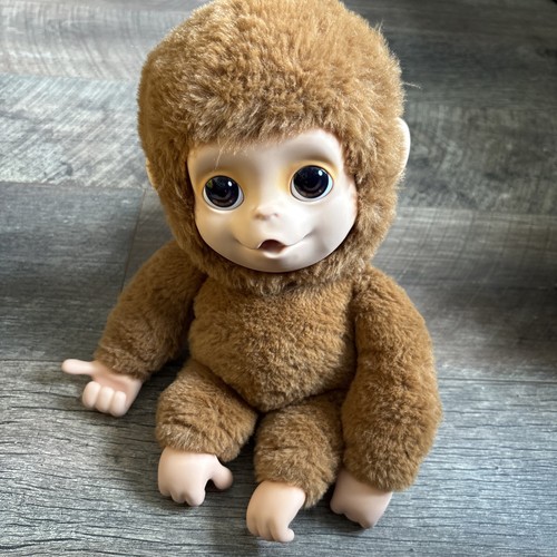 Little live pets baby mango - live,