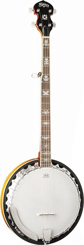 Washburn b10 americana series - washburn,