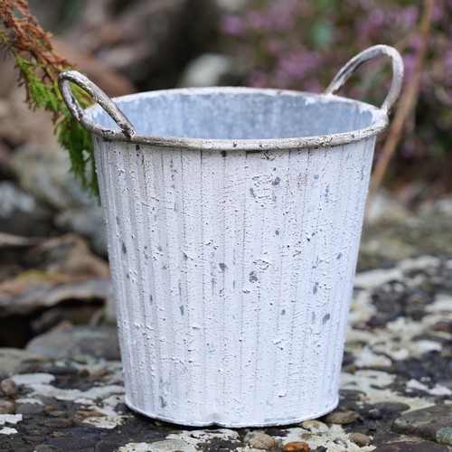 Zinc metal flower - zinc, pot