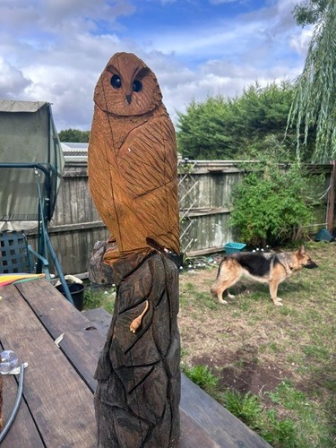 Chainsaw carved owl rocks - carved, on