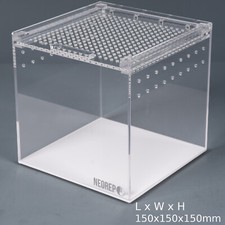 ACRYLIC INVERTEBRATE SPIDER