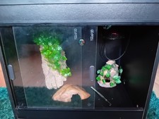 Vivarium reptile, bundle , With Heating Components 