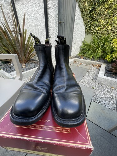 Williams men s yearling - r.m.,