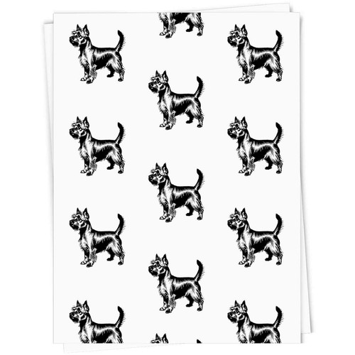 Silky terrier dog - terrier, dog'