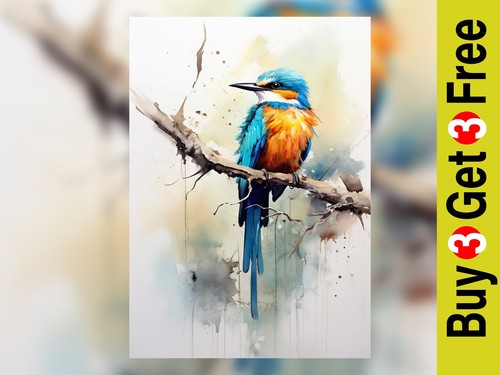 Graceful kingfisher - graceful,