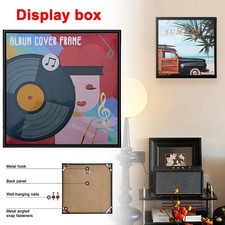 12" Vinyl Record Frame Wall