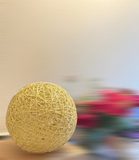 Rustic Wood 🪵 Lampshade