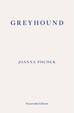Greyhound by Joanna Pocock