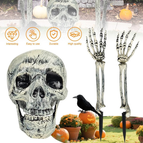 Skeleton bones prop ground - skeleton,