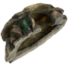 Turtle Resin Model Turtle Cage