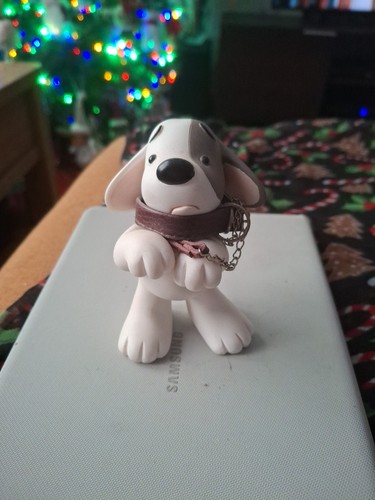 Lost dog please - lost,