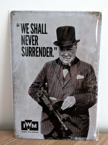 Winston churchill never - winston,